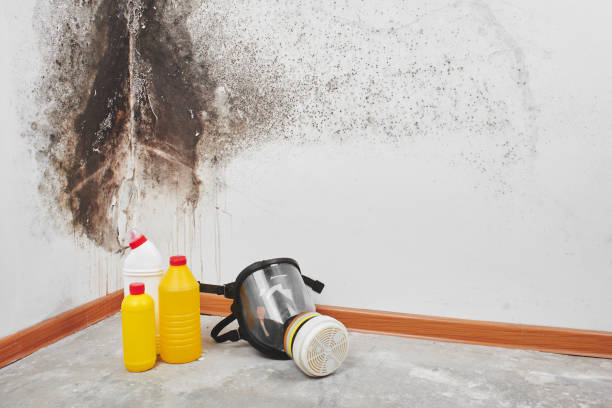 Best Mold Remediation for Healthcare Facilities  in New Castle Northwest, PA